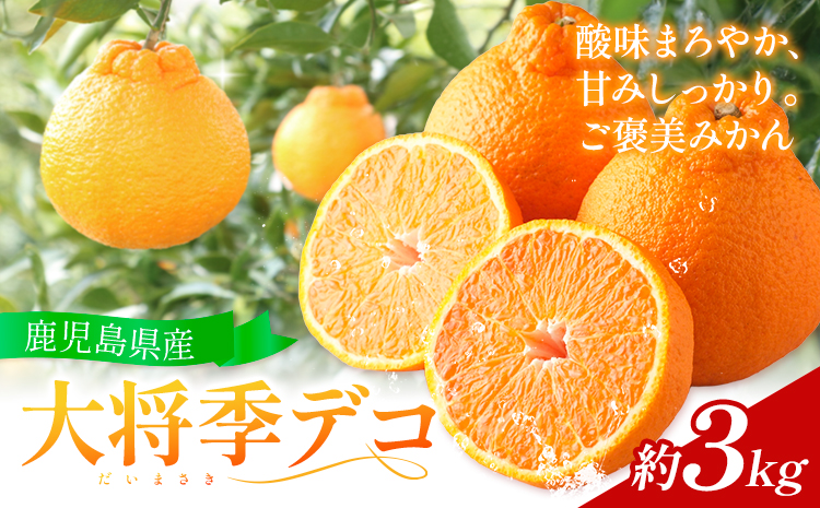 【先行予約】 大将季（だいまさき）みかん 大将季デコ 3kg よしたか農園 《2027年2月上旬-3月下旬頃出荷》鹿児島県 さつま町 不知火 しらぬい 柑橘 かんきつ フルーツ 果物 くだもの 鹿児島県産 3キロ 送料無料 旬