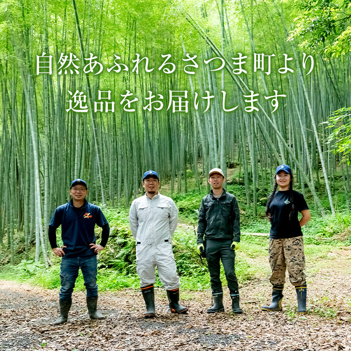 s761 〈鹿児島県さつま町産ジビエ使用〉穴熊入りジビエ満喫セット《穴熊スライス/鹿モモ肉/鹿カタスライス/ジビエミンチ(鹿 or 猪)/猪肉(ロース or 肩ローススライス)》（合計約1.6kg・5種) 鹿 猪 穴熊 アナグマ ジビエ 食べ比べ 【さつまのジビエファクトリー】