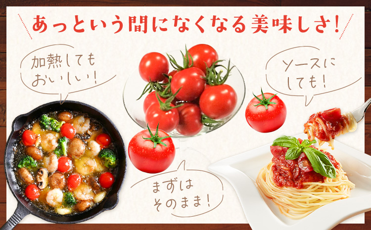 【ふるさと納税】トマト 華こまち フルーツトマト 200g×4パック 吉祥庵園芸《11月上旬-6月上旬頃出荷》鹿児島県 さつま町 野菜 トマト お取り寄せ