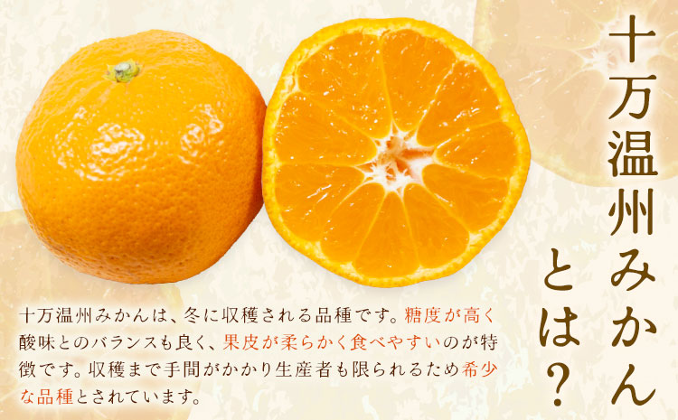 蜊∽ク貂ゥ蟾槭∩縺九s 5kg 蛹励&縺、縺セ霎イ蜊斐1譛井ク頑流-1譛域忰鬆蜃コ闕キ縲 鮖ソ蜈仙ウカ逵 縺輔▽縺セ逕コ 騾∵侭辟。譁 譟第ゥ 縺ソ縺九s 貂ゥ蟾槭∩縺九s 蜊∽ク縺ソ縺九s