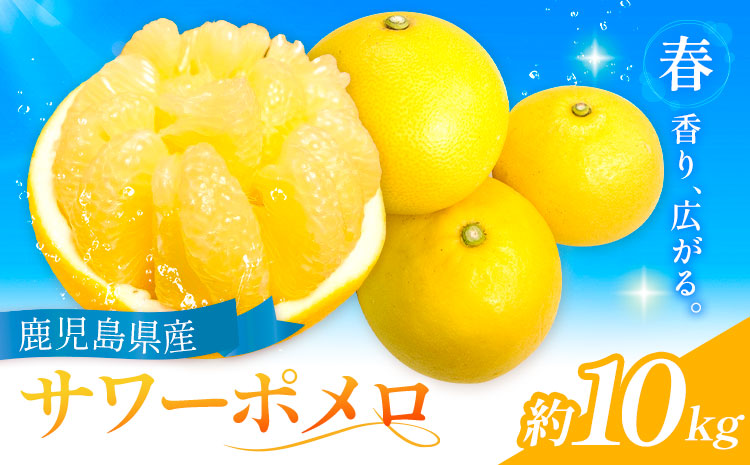【先行予約】サワーポメロ 10kg 大橘（おおたちばな）よしたか農園 《2027年2月上旬-3月下旬頃出荷》鹿児島県 さつま町 文旦 ぶんたん 柑橘 かんきつ フルーツ 果物 くだもの 鹿児島県産 10キロ 送料無料 旬