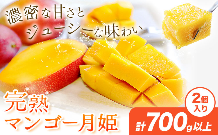 完熟 マンゴー月姫 計700g以上(2個入り) 株式会社日野洋蘭園《6月中旬-7月下旬頃出荷》 鹿児島県 さつま町 マンゴー 果物 フルーツ 送料無料