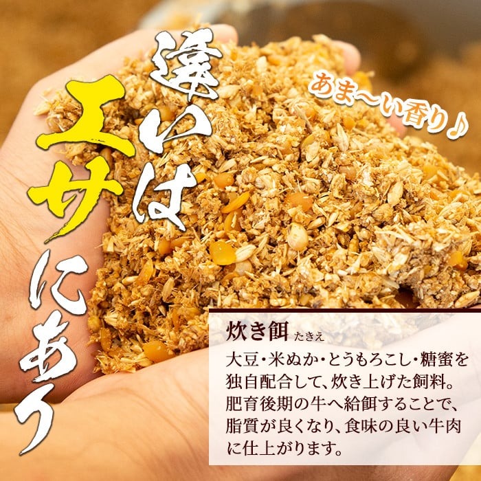 s372 さつま福永牛すき焼きセット(500g×2P・計1kg)鹿児島 国産 九州産 黒毛和牛 牛肉 ロース スライス すきやき しゃぶしゃぶ【福永畜産】