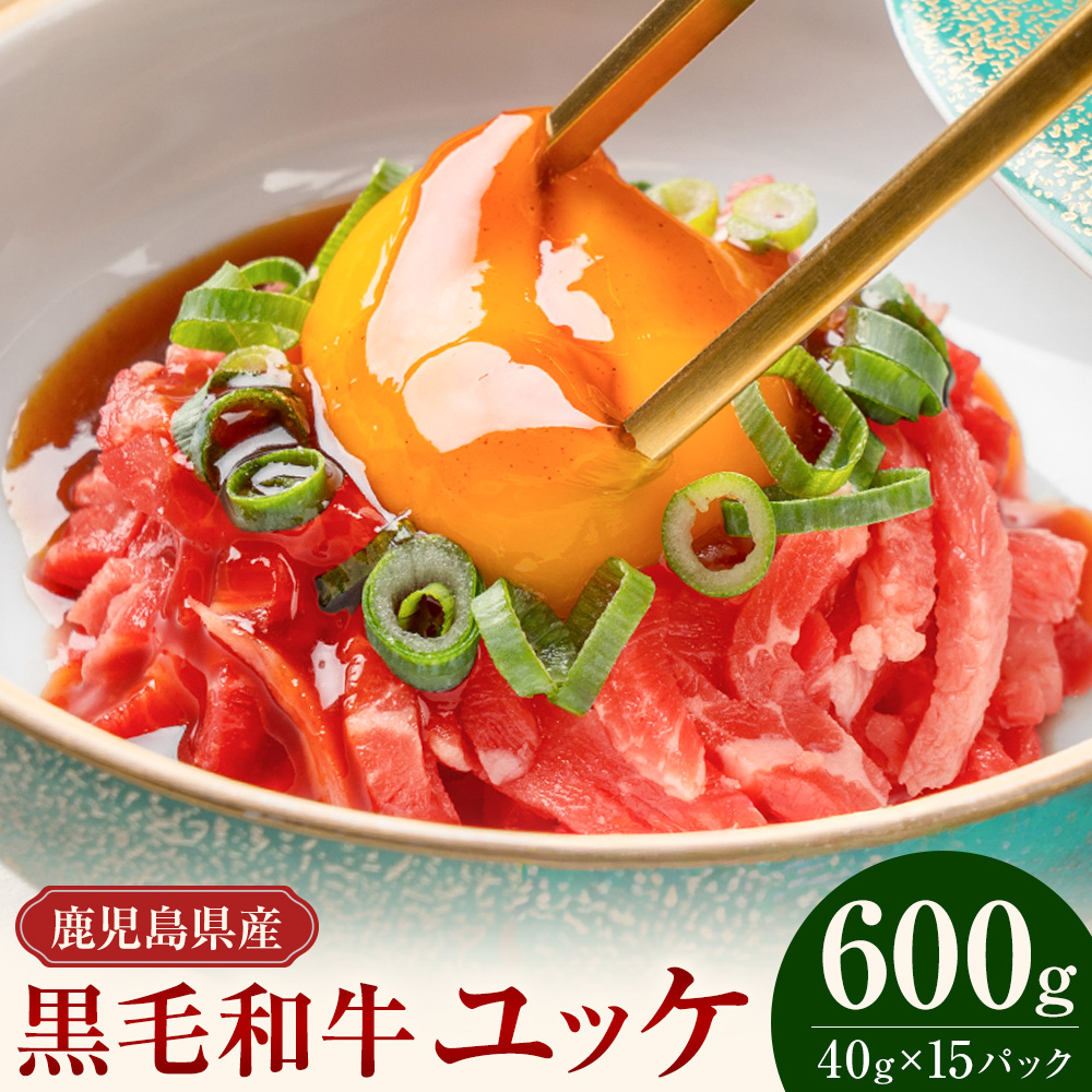 鹿児島県産黒毛和牛ユッケ 600g 40g×15パック 株式会社カミチク《90日以内に出荷予定(土日祝除く)》鹿児島県 さつま町 鹿児島県産 黒毛和牛 ユッケ 生食用 小分け タレ付き