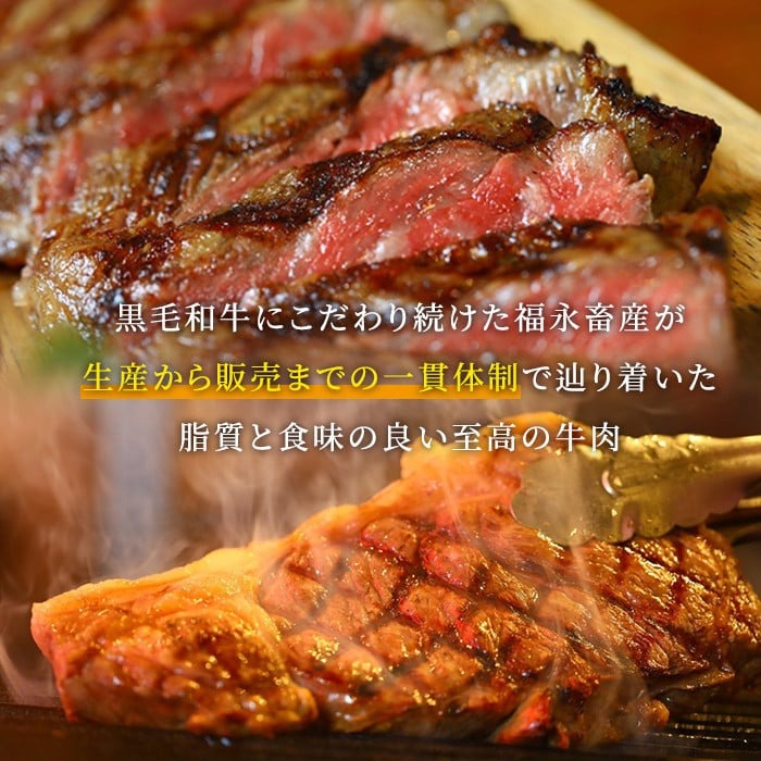 s371 さつま福永牛 家族で楽しむ焼肉セット(500g×2P・計1kg)鹿児島 国産 九州産 黒毛和牛 牛肉 バラ ロース 焼肉【福永畜産】