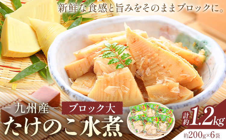 たけのこ 水煮 詰め合わせ ブロック大 九州産 計約1.2kg 約200g×6袋 北薩農産加工場《30日以内に出荷予定(土日祝除く)》鹿児島県 さつま町 送料無料 惣菜 タケノコ 筍 竹の子 パック 水煮 お取り寄せグルメ