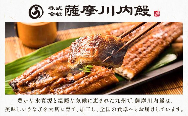 鰻 うなぎ きざみ鰻 九州産 計約400g (約80g×5袋) 株式会社薩摩川内鰻《30日以内に出荷予定(土日祝除く)》鹿児島県 さつま町 送料無料 ウナギ 丑の日 うなぎ 刻み お取り寄せ グルメ