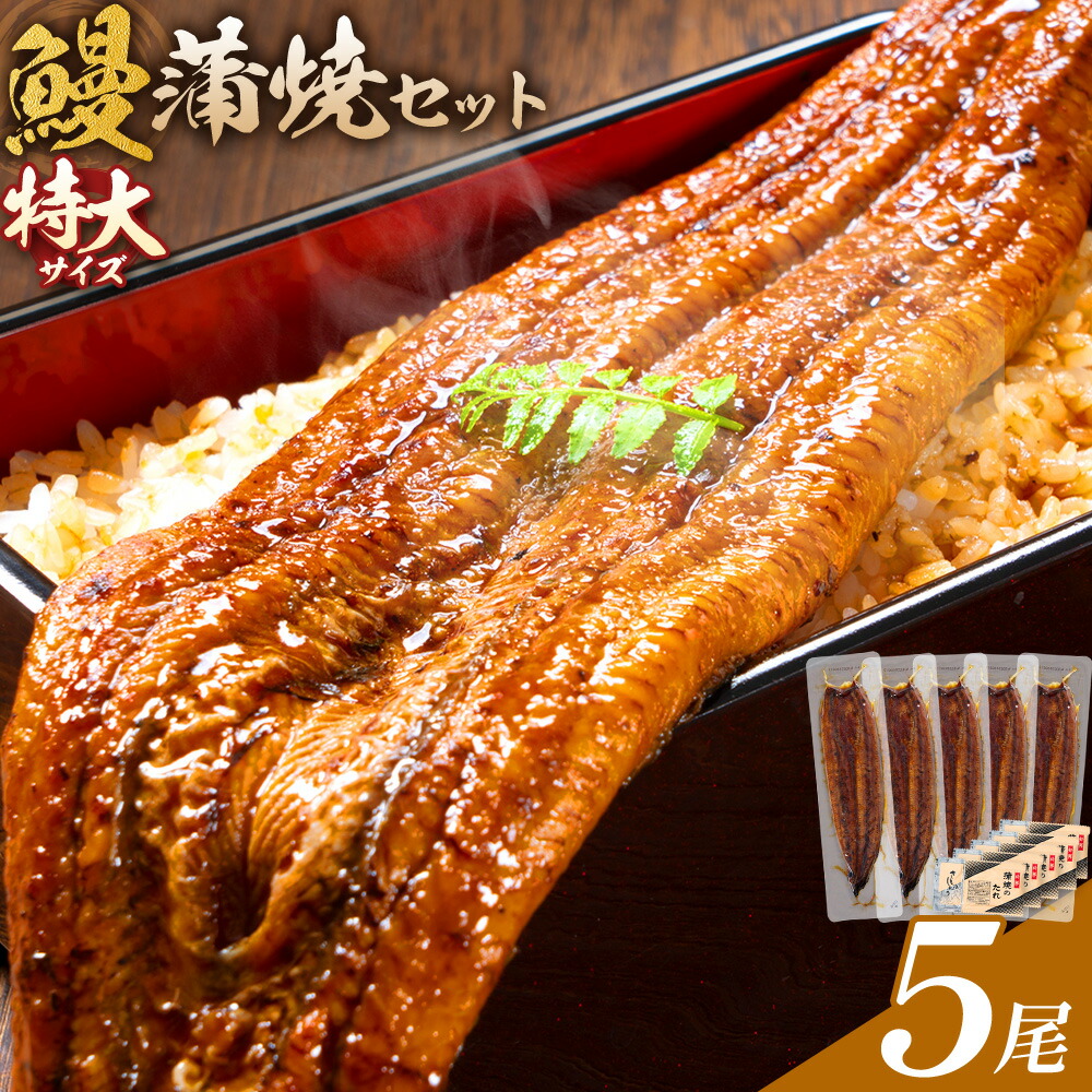 ＼特大サイズ／ 鹿児島県産 鰻蒲焼真空セット！5尾 タレ・山椒付！ 株式会社薩摩川内鰻《30日以内に出荷予定(土日祝除く)》 鹿児島県 さつま町 送料無料 ウナギ 丑の日 うなぎ 刻み グルメ 特大 鰻 蒲焼 真空