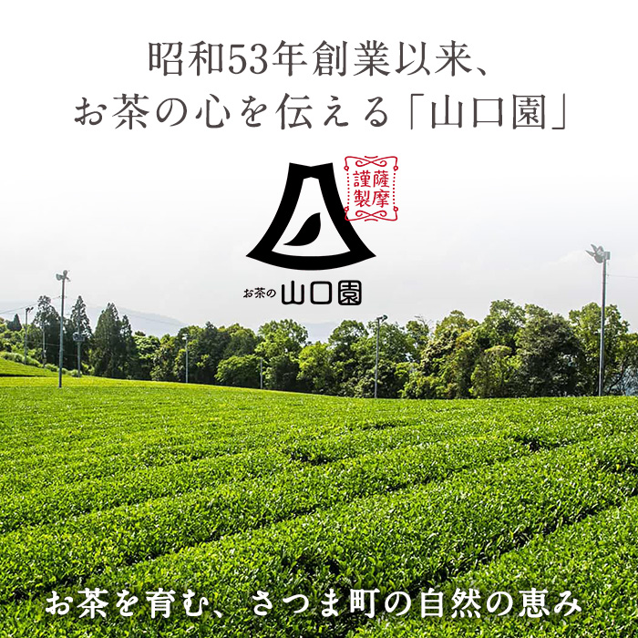 s090 《Japanese Tea Selection Pari 受賞茶》鹿児島の有機薩摩銘茶2種セット(特選・極 各80g・計160g) 銘茶 有機栽培 一番茶 茶葉 お茶 緑茶 ギフト 贈答【山口園】