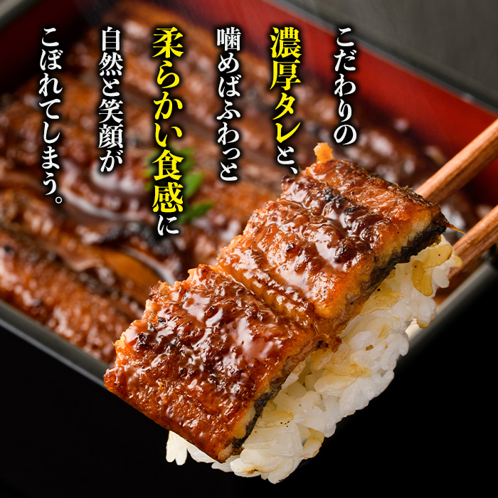 s730 ＼特大サイズ／ 鹿児島県産 鰻蒲焼真空セット！(計約660g・約220g×3尾) タレ・山椒付！ 鹿児島 九州産 国産 うなぎ ウナギ 鰻 土用の丑の日 蒲焼き うな重 ひつまぶし 冷凍 【薩摩川内鰻】