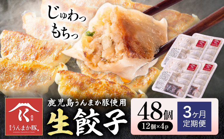 【3ヶ月定期便】鹿児島 うんまか豚 生餃子 48個 株式会社 寺師《お申込み翌月から出荷》鹿児島県 さつま町 餃子 ギョウザ 焼き餃子 水餃子