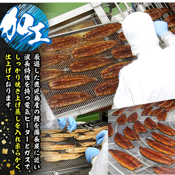 s245 鹿児島県産 鰻蒲焼真空3尾セット！(計約420g約140g×3)嬉しいタレ・山椒付！ 鹿児島 九州産 国産 うなぎ ウナギ 鰻 土用の丑の日 蒲焼き うな重 ひつまぶし【薩摩川内鰻】