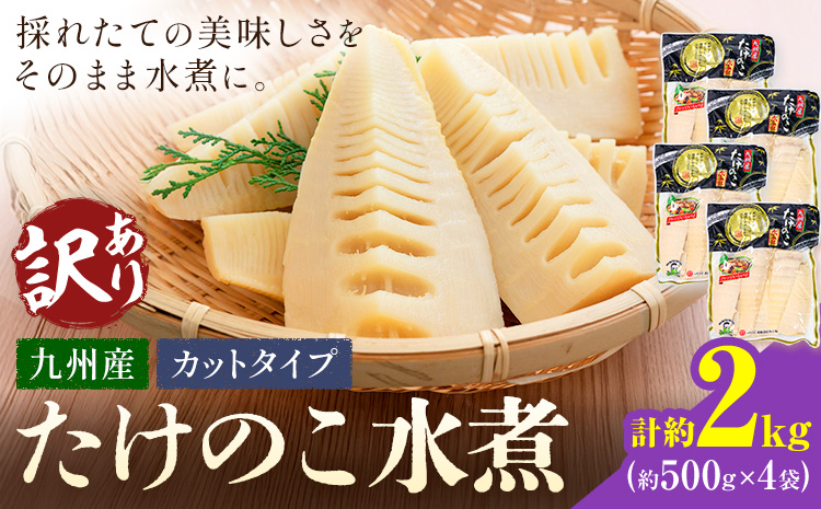 訳あり たけのこ 水煮 カットタイプ 九州産 4袋 (1袋500g) 北薩農産加工場《30日以内に出荷予定(土日祝除く)》鹿児島県 さつま町 送料無料 惣菜 タケノコ 筍 竹の子 パック 水煮 お取り寄せグルメ