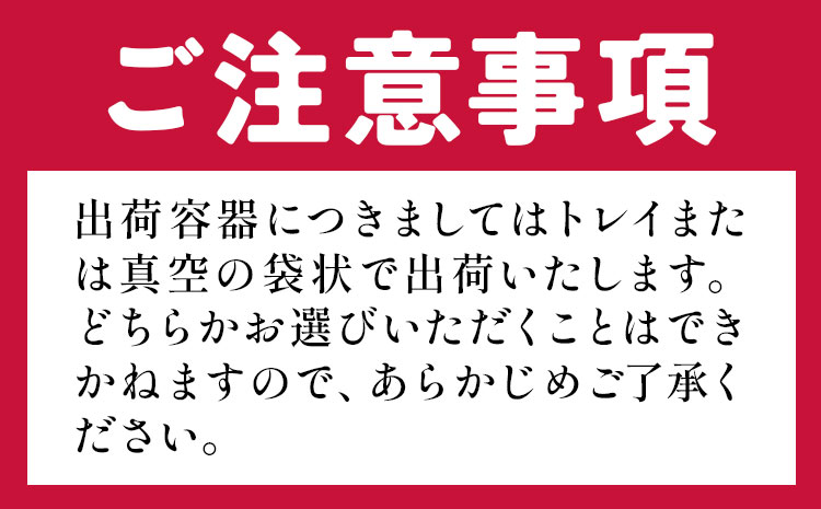 鹿児島 うんまか 豚ミンチ 計3kg 500g×6P 株式会社寺師《90日以内に出荷予定(土日祝除く) 》鹿児島県 さつま町 豚肉 ミンチ 肉