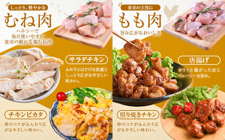 鹿児島県産 鶏肉 むね肉 もも肉 セット 各種 250g × 2パック 計1kg 《7-14日以内に出荷予定(土日祝除く)》鹿児島県 さつま町 鶏 鳥 むね もも 肉