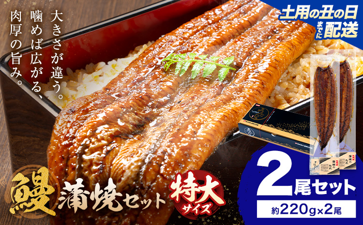 【土用の丑の日】＼特大サイズ／ 鹿児島県産 鰻蒲焼真空セット！2尾  タレ・山椒付！ 株式会社薩摩川内鰻 《7月中旬-7月下旬頃出荷》  鹿児島県 さつま町 送料無料 ウナギ 丑の日 うなぎ 刻み グルメ 特大 鰻 蒲焼 真空