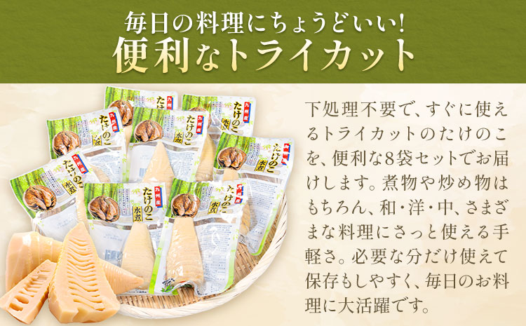たけのこ 水煮 カットタイプ 九州産 計960g 約120g×8袋 北薩農産加工場《30日以内に出荷予定(土日祝除く)》鹿児島県 さつま町 送料無料 惣菜 タケノコ 筍 竹の子 パック 水煮 お取り寄せグルメ
