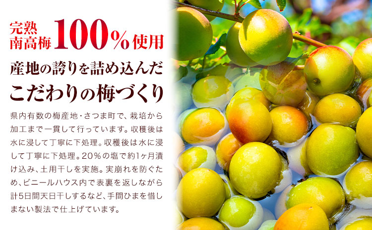 訳あり はちみつ黒酢梅干し 計1.4kg 350g×4箱 農事組合法人 梅香丘《30日以内に出荷予定(土日祝除く)》鹿児島県 さつま町 うめぼし 蜂蜜 お取り寄せ プレゼント