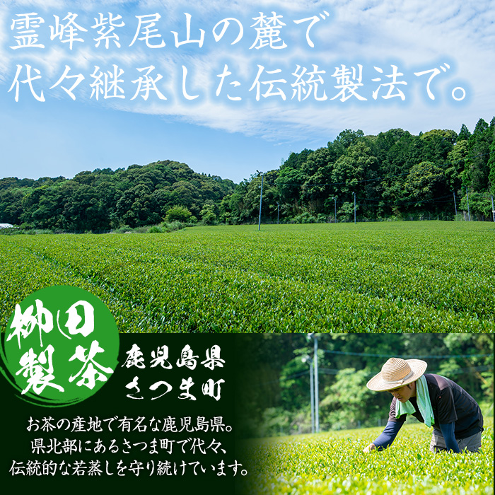 s233 若蒸上煎茶TEA BAG(計40P・3g5P入×8袋)鹿児島 国産 九州産 日本茶 若蒸茶 お茶 緑茶 ティーバッグ【柳田製茶】