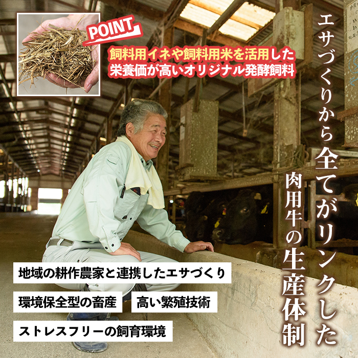 s317 お肉屋監修！黒毛和牛使用コロッケ(計50個・5個×10P) 鹿児島 九州産 黒毛和牛 牛肉 コロッケ 惣菜 お弁当【カミチク】