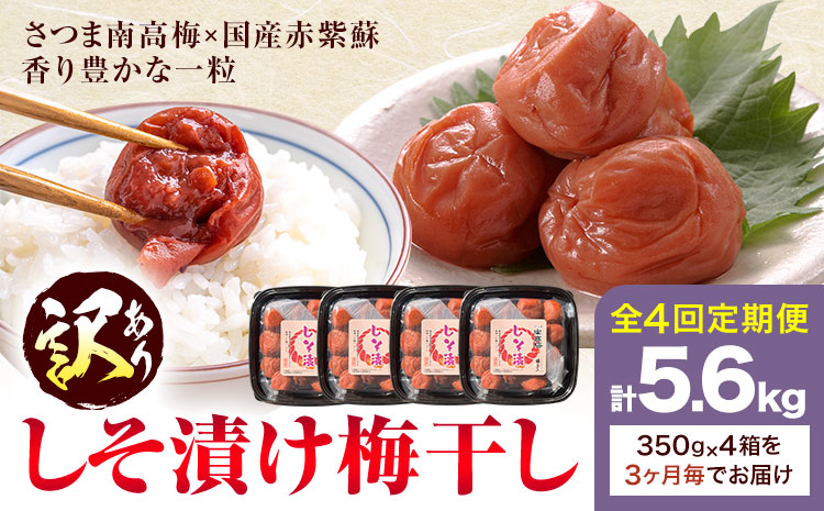 訳あり しそ漬け梅干し 350g×4箱 定期便 4回  農事組合法人 梅香丘《お申込み翌月から出荷》鹿児島県 さつま町 うめぼし 紫蘇 お取り寄せ プレゼント
