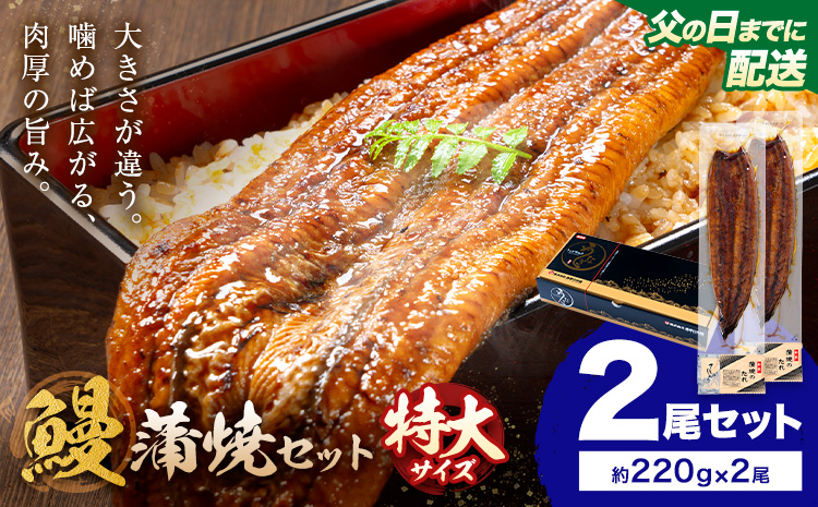 【父の日】＼特大サイズ／ 鹿児島県産 鰻蒲焼真空セット！2尾  タレ・山椒付！ 株式会社薩摩川内鰻 《6月中旬-6月下旬頃出荷》  鹿児島県 さつま町 送料無料 ウナギ 丑の日 うなぎ 刻み グルメ 特大 鰻 蒲焼 真空