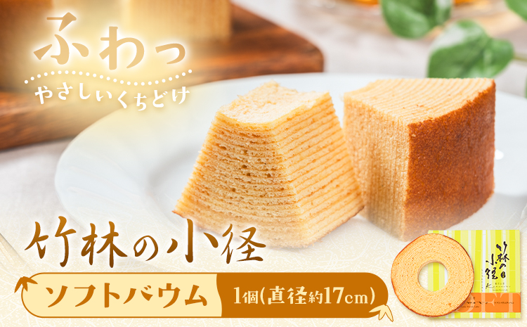 竹林の小径 ソフトバウムクーヘン 菓子工房Konomoto《30日以内に出荷予定(土日祝除く)》鹿児島県 さつま町 バウム 焼き菓子 お菓子 ケーキ 洋菓子 贈答用 手土産 プレゼント