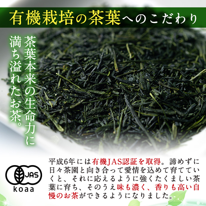 s349 鹿児島県さつま町産のお茶バラエティセット(緑茶・ほうじ茶・有機粉末緑茶・フィルターインボトル) 鹿児島 国産 九州産 お茶 緑茶 ほうじ茶 有機 バラエティ 薩摩銘茶 ギフト 贈答【山口園】