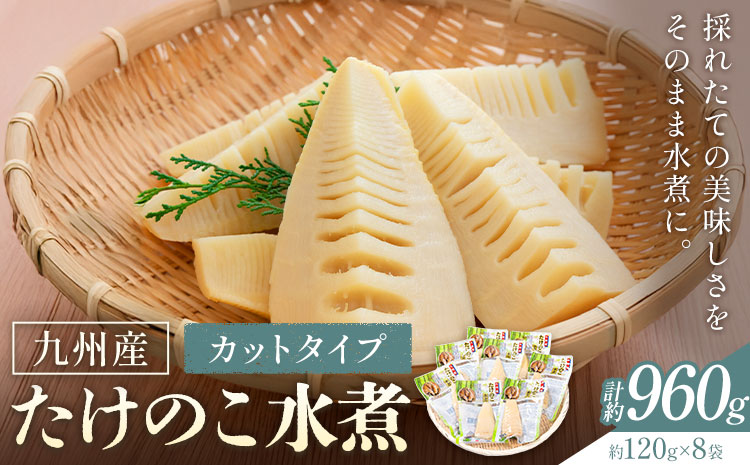 たけのこ 水煮 カットタイプ 九州産 計960g 約120g×8袋 北薩農産加工場《30日以内に出荷予定(土日祝除く)》鹿児島県 さつま町 送料無料 惣菜 タケノコ 筍 竹の子 パック 水煮 お取り寄せグルメ