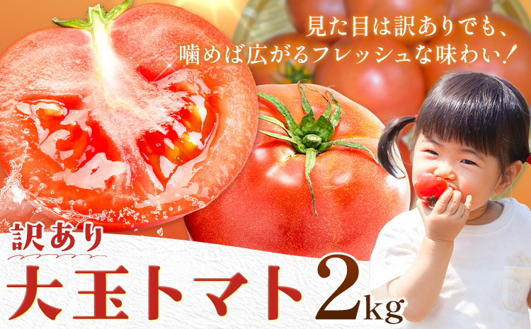 訳あり トマト 大玉 大玉トマト わけあり 2kg 吉祥庵園芸《11月上旬-6月上旬頃出荷》鹿児島県 さつま町 送料無料 野菜 トマト お取り寄せ