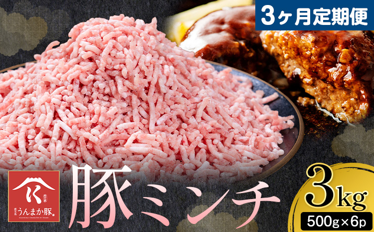 【3ヶ月定期便 】鹿児島 うんまか 豚ミンチ 計3kg 500g×6P 株式会社寺師《お申し込みの翌月から出荷》鹿児島県 さつま町 豚肉 ミンチ 肉