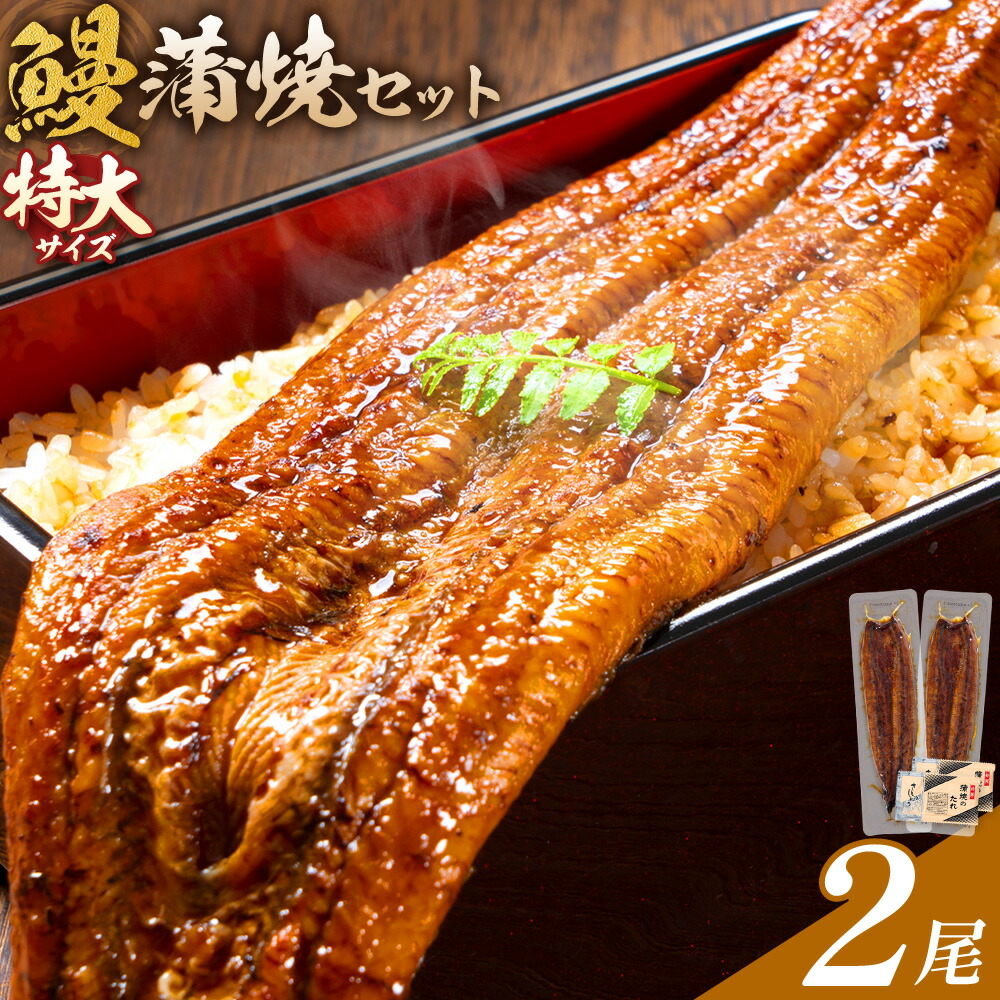 ＼特大サイズ／ 鹿児島県産 鰻蒲焼真空セット！2尾 タレ・山椒付！ 株式会社薩摩川内鰻 《30日以内に出荷予定(土日祝除く)》 鹿児島県 さつま町 送料無料 ウナギ 丑の日 うなぎ 刻み グルメ 特大 鰻 蒲焼 真空
