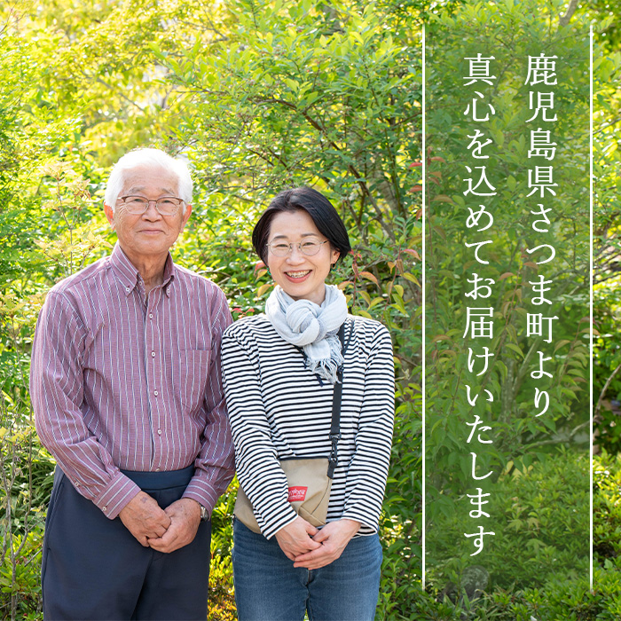 s694 HECHIMARS æŽé¡ç³ãã(çŽ100gÃ1åãã²ã®ãã®éŠãã) 鹿å
å³¶ ç³ãã ç³é¹ž æŽé¡ æŽé¡ç³ãã æŽé¡ç³é¹ž åºåœ¢ç³é¹ž æŽé¡æ ãžã¡ãŸ ãªãªãŒããªã€ã« ããã ã¹ãã³ã±ã¢ ã²ã®ã ããã ãååäŒç€ŸICHIã