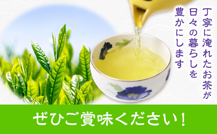 若蒸煎茶 さえみどり 新茶 80g×3袋 柳田製茶《5月上旬より順次出荷予定(土日祝除く)》鹿児島県 さつま町 送料無料 おうち時間 ティータイム 水出し セット 煎茶 緑茶 日本茶 ギフト 贈答 誕生日 プレゼント