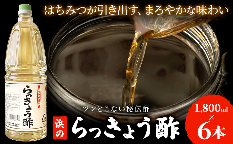 はちみつ入り 浜のらっきょう酢 1800ml×6本セット 浜義正商店《60日以内に出荷予定(土日祝除く)》鹿児島県 さつま町 お酢 漬物 らっきょう 梅 酢飯 新生姜 みょうが 南蛮漬け