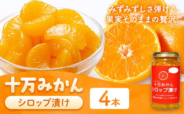 十万みかん シロップ漬け 170g 4本 田野農園《30日以内に出荷予定(土日祝除く)》鹿児島県 さつま町 みかん 蜜柑 柑橘 果物 くだもの フルーツ ジューシー シロップ 送料無料