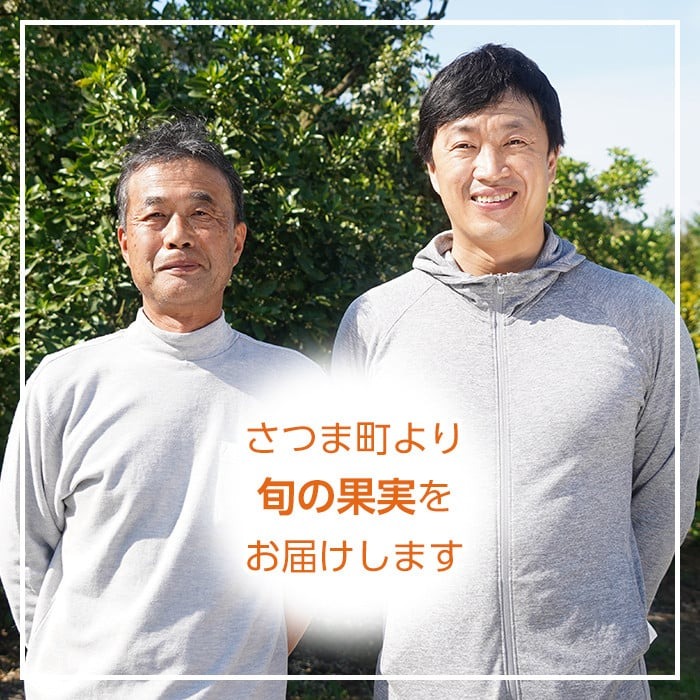 s570 《期間・数量限定》ご家庭用サワーポメロ(約10kg) 鹿児島 国産 九州産 果物 柑橘 フルーツ みかん 文旦 ボンタン ご家庭用 訳あり 【よしたか農園】