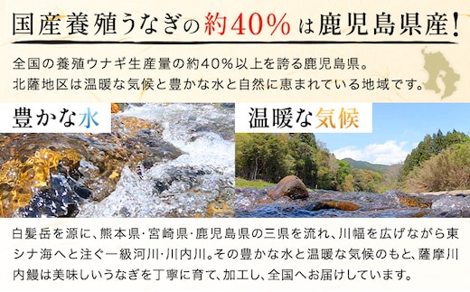 縲仙悄逕ィ縺ョ荳代ョ譌・縲托シシ迚ケ螟ァ繧オ繧、繧コシ 鮖ソ蜈仙ウカ逵檎肇 魏サ闥イ辟シ逵溽ゥコ繧サ繝繝茨シ5蟆セ 繧ソ繝ャ繝サ螻ア讀剃サ假シ 譬ェ蠑丈シ夂、セ阮ゥ鞫ゥ蟾晏魏サ 縲7譛井クュ譌ャ-7譛井ク区流鬆蜃コ闕キ縲 鮖ソ蜈仙ウカ逵 縺輔▽縺セ逕コ 騾∵侭辟。譁 繧ヲ繝翫ぐ 荳代ョ譌・ 縺縺ェ縺 蛻サ縺ソ 繧ー繝ォ繝。 迚ケ螟ァ 魏サ 闥イ辟シ 逵溽ゥコ