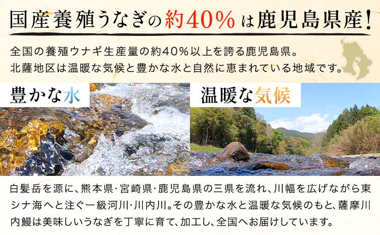 【隔月定期便全3回】＼特大サイズ／ 鹿児島県産 鰻蒲焼真空セット！2尾 タレ・山椒付！ 株式会社薩摩川内鰻 《お申込み翌月から出荷》 鹿児島県 さつま町 送料無料 ウナギ 丑の日 うなぎ 刻み グルメ 特大 鰻 蒲焼 真空