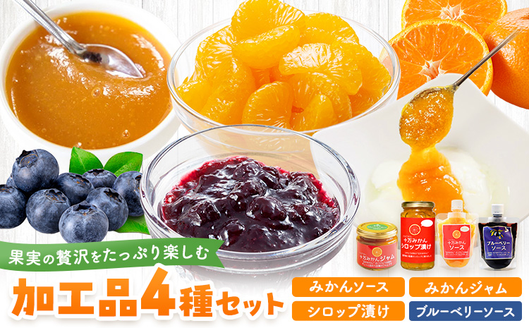 加工品4種セット ソース 2種 ジャム シロップ漬け 各1個 田野農園《30日以内に出荷予定(土日祝除く)》鹿児島県 さつま町 十万温州みかん みかん 蜜柑 柑橘 ブルーベリー 果物 くだもの フルーツ ジューシー シロップ 送料無料