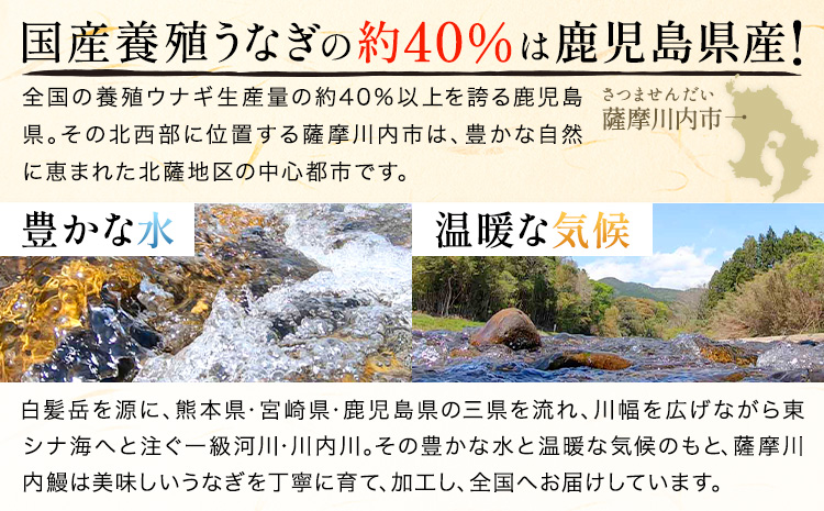鰻 うなぎ 蒲焼き 3尾 (1尾約140g) タレ 山椒 付き 株式会社薩摩川内鰻《30日以内に出荷予定(土日祝除く)》鹿児島県 さつま町 送料無料 ウナギ 蒲焼 かば焼き 丑の日 うなぎ お取り寄せ グルメ