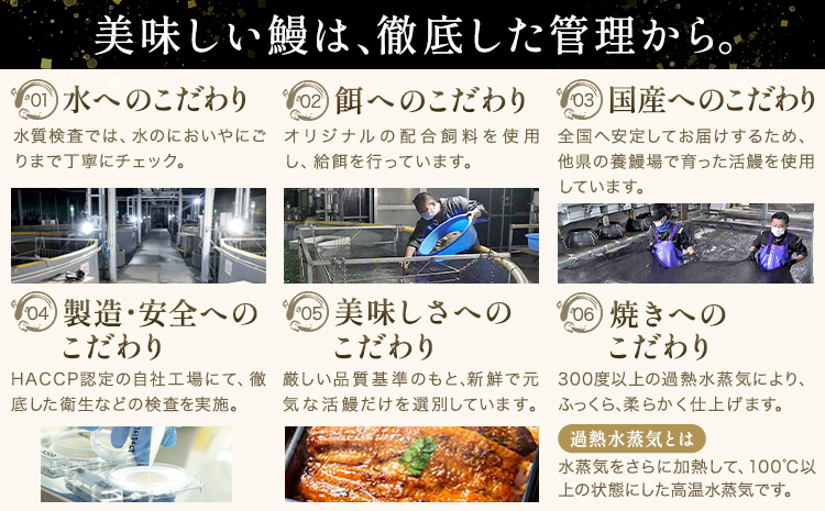 鰻 うなぎ 蒲焼き 3尾 (1尾約140g) タレ 山椒 付き 株式会社薩摩川内鰻《30日以内に出荷予定(土日祝除く)》鹿児島県 さつま町 送料無料 ウナギ 蒲焼 かば焼き 丑の日 うなぎ お取り寄せ グルメ