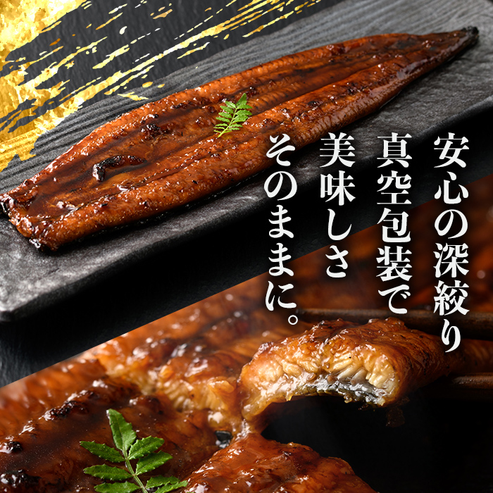 s730 ＼特大サイズ／ 鹿児島県産 鰻蒲焼真空セット！(計約660g・約220g×3尾) タレ・山椒付！ 鹿児島 九州産 国産 うなぎ ウナギ 鰻 土用の丑の日 蒲焼き うな重 ひつまぶし 冷凍 【薩摩川内鰻】