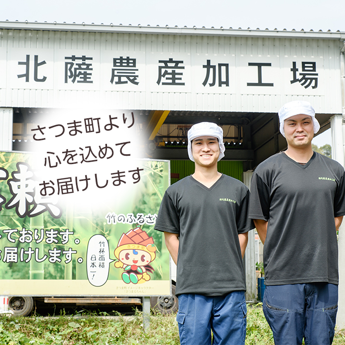 s724 ≪訳あり≫たけのこ水煮 切り落としタイプ(計約3.2kg・200g×16袋) 鹿児島 国産 タケノコ 竹の子 水煮 野菜 切り落し パック 煮物 炊き込みご飯 常温保存 常温 【北薩農産加工場】