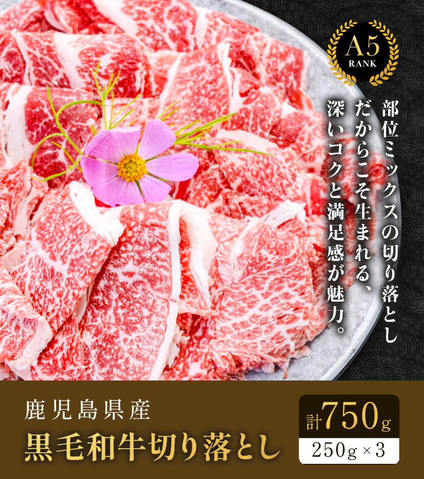 鹿児島県産黒毛和牛切落し250ｇ×3パック 株式会社カミチク 《90日以内に出荷予定(土日祝除く) 》 鹿児島県産 A5 黒毛和牛 和牛 切落し 250ｇ×3パック 計750g