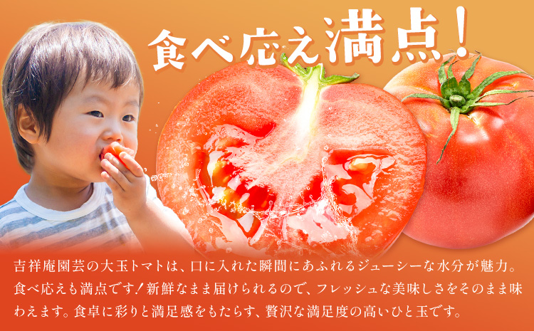 訳あり トマト 大玉 大玉トマト わけあり 2kg 吉祥庵園芸《11月上旬-6月上旬頃出荷》鹿児島県 さつま町 送料無料 野菜 トマト お取り寄せ