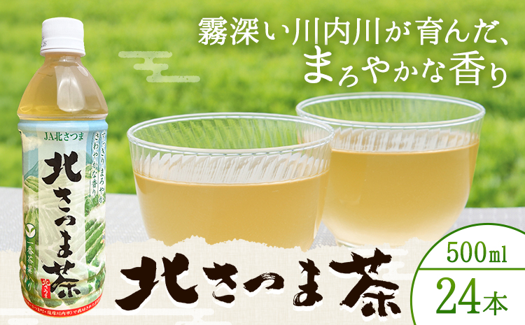 北さつま茶 500ml×24本 北さつま農協《30日以内に出荷予定(土日祝除く)》鹿児島県 さつま町 日本茶 緑茶 新茶 一番茶 ペットボトル