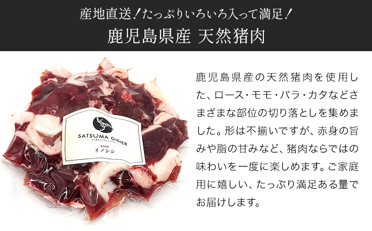 猪肉切り落とし 計約1kg ダブルビーゼット株式会社 (さつまのジビエファクトリー) 《30日以内に出荷予定(土日祝除く)》鹿児島 国産 九州産 ジビエ 冷凍 鹿児島県 さつま町 イノシシ