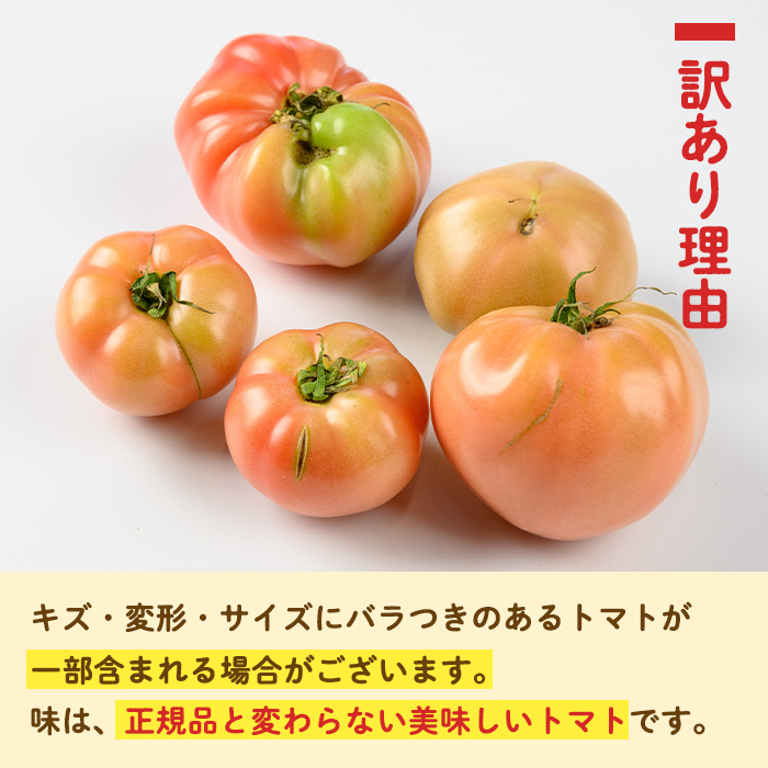 s613 《期間・数量限定》＜訳あり＞大玉トマト(約2kg) 鹿児島 国産 九州産 野菜 やさい 新鮮 とまと トマト 訳あり 規格外 ご家庭用 産地直送 サラダ 【吉祥庵園芸】