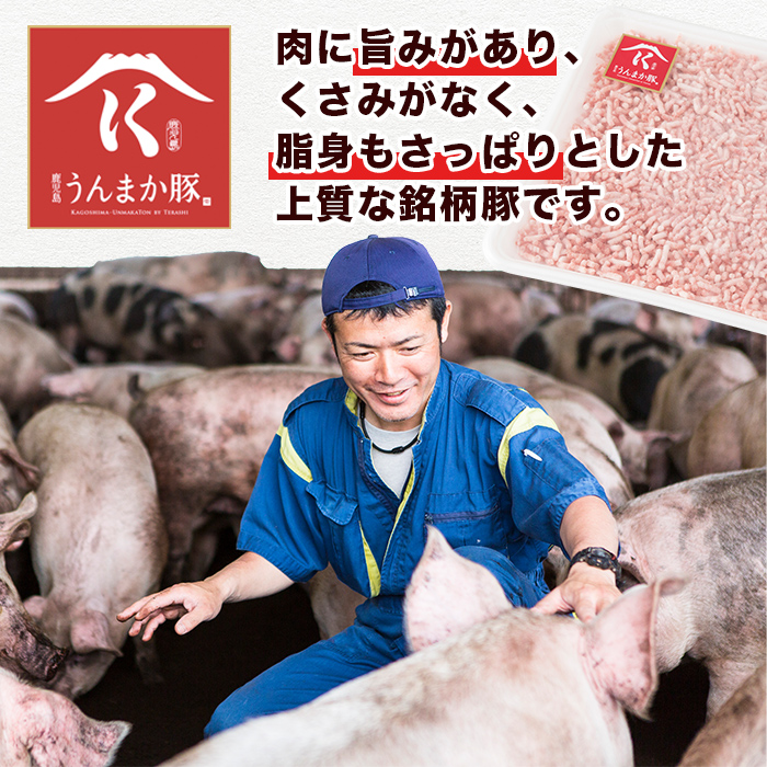 s582-A 【毎月・定期便3回】鹿児島うんまか豚ミンチ(計9kg・500g×6P×3回)【肉の寺師】